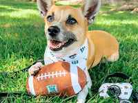 DOG TOY - UH FOOTBALL