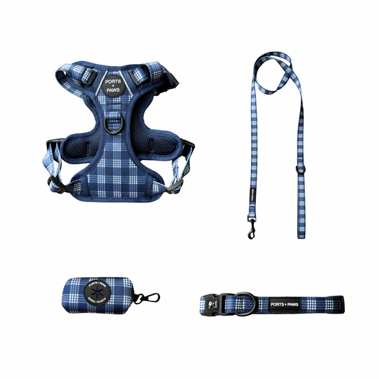 WALKIES BUNDLE - RUGGED HARNESS PALAKA BLUE