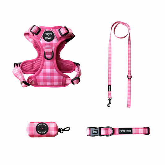 WALKIES BUNDLE - RUGGED HARNESS PALAKA PINK