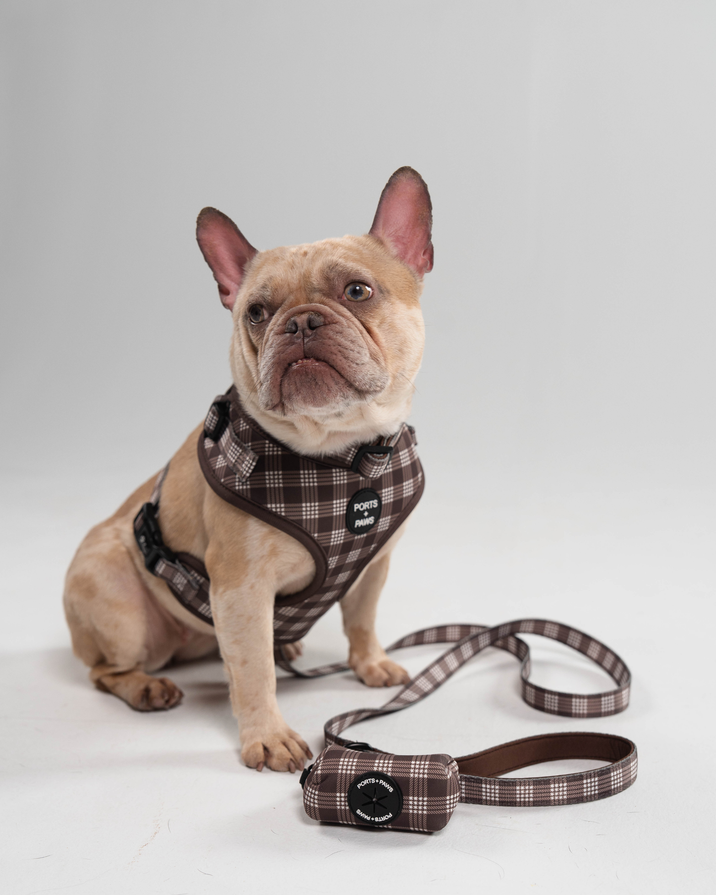 ADJUSTABLE HARNESS - PALAKA BROWN