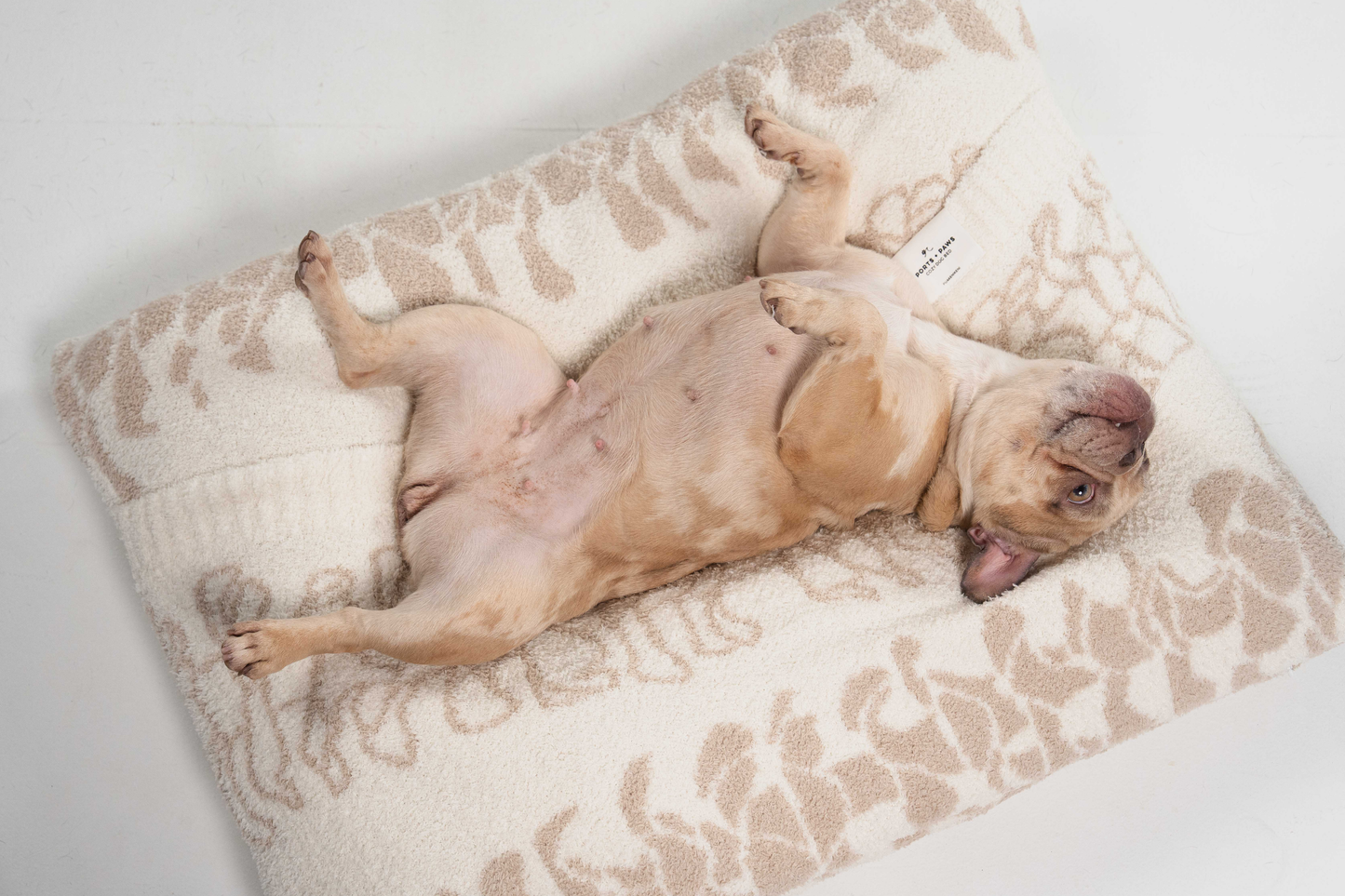 COZY DOG BED - PUAKENIKENI