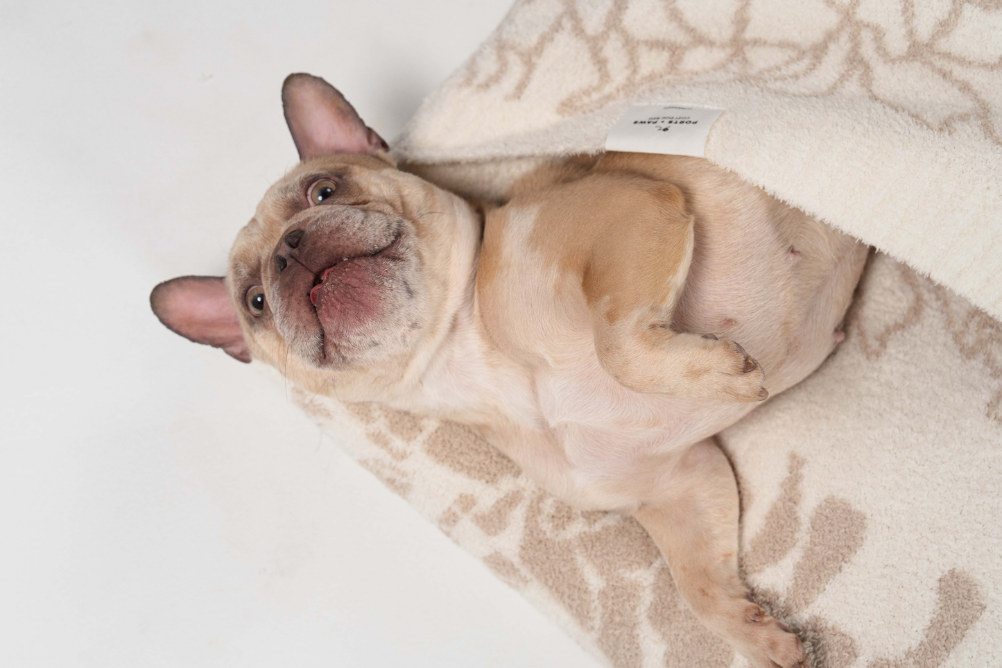 COZY DOG BED - PUAKENIKENI