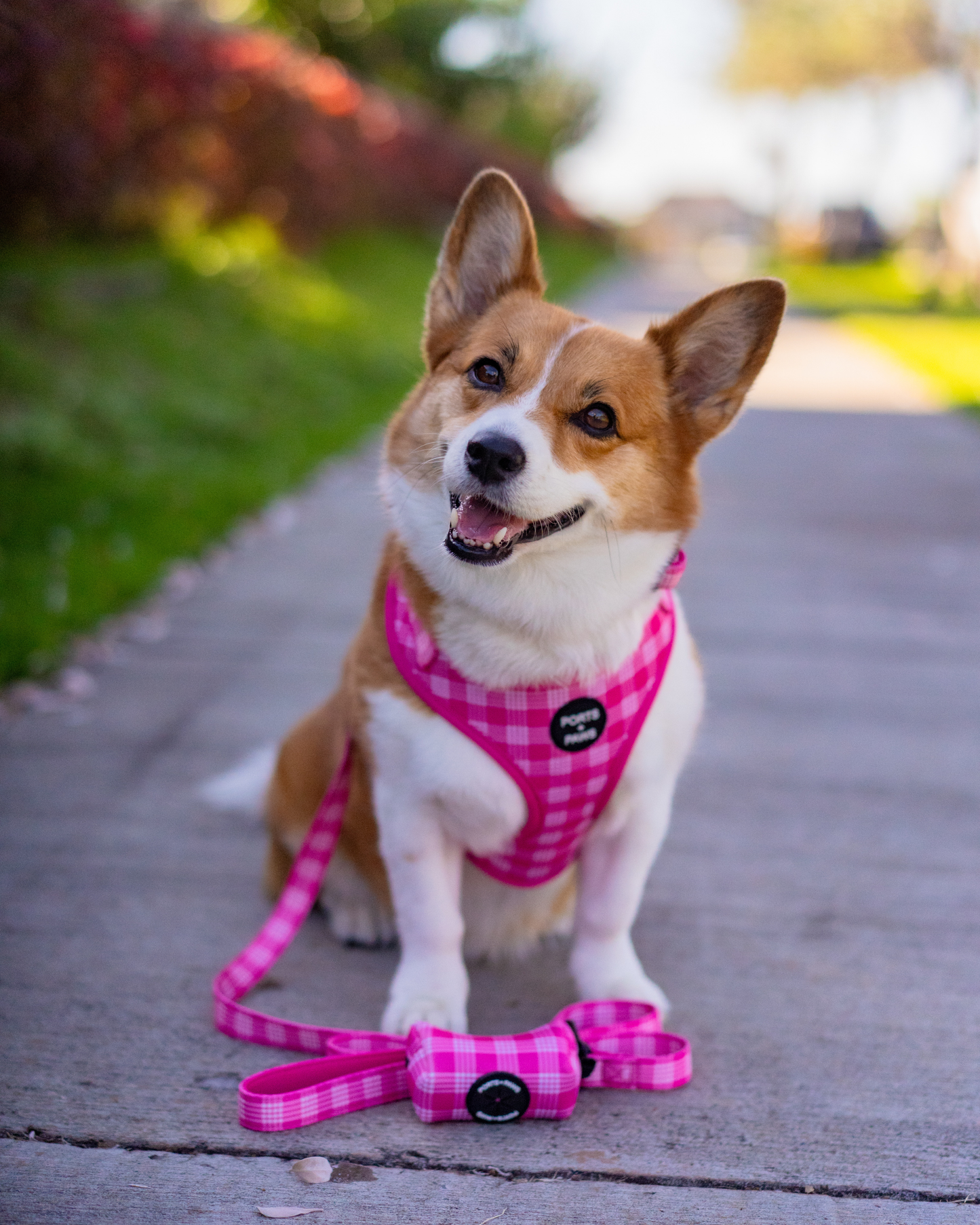 ADJUSTABLE HARNESS - PALAKA PINK