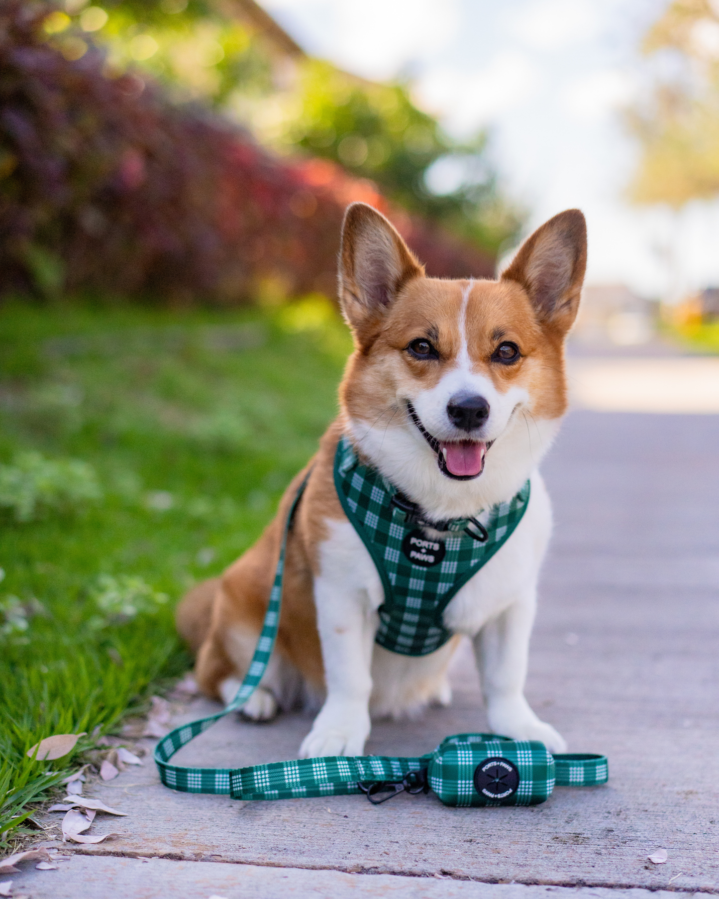 POOP BAG HOLDER - PALAKA GREEN