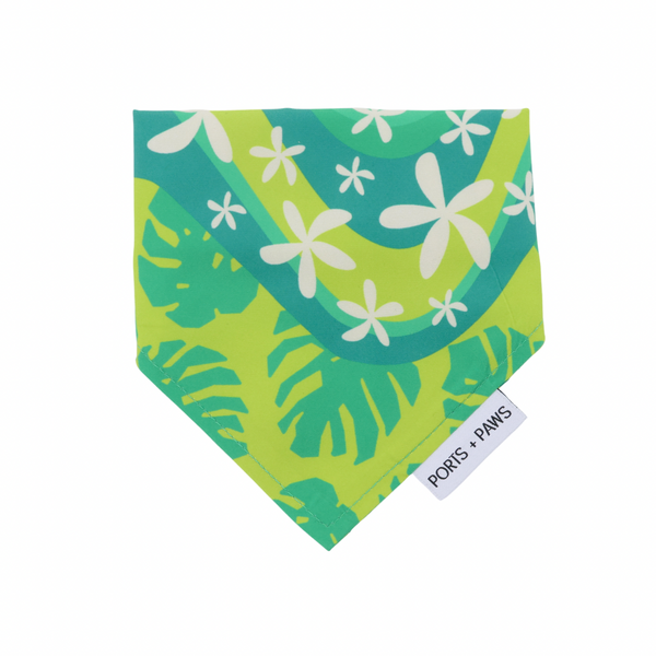 QUICK DRY BANDANA - ISLAND BREEZE GREEN RIVER – PORTS + PAWS