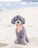 QUICK DRY BANDANA - HIBISCUS PUMPKIN