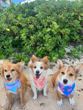 QUICK DRY BANDANA - HIBISCUS PUMPKIN