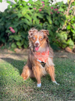 QUICK DRY BANDANA - HIBISCUS PUMPKIN