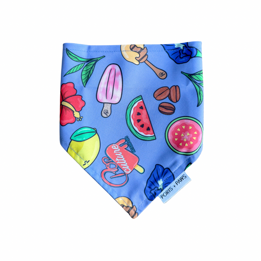 QUICK DRY BANDANA - POP CULTURE