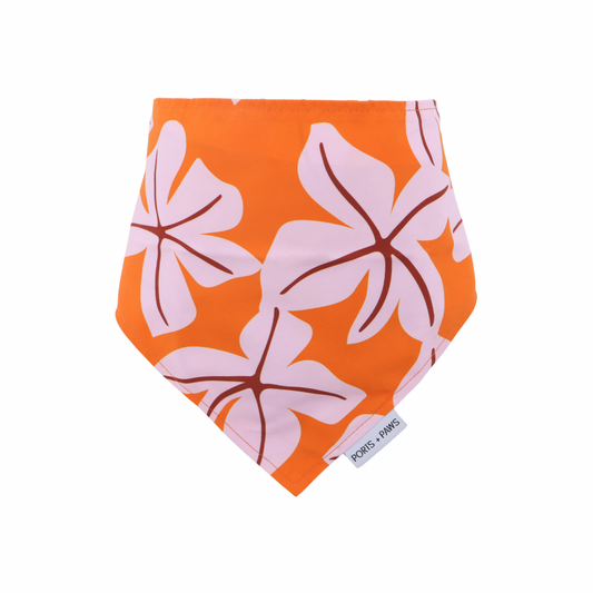 QUICK DRY BANDANA - FALL BLOOM BLUSH