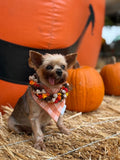 QUICK DRY BANDANA - PALAKA PUMPKIN SPICE