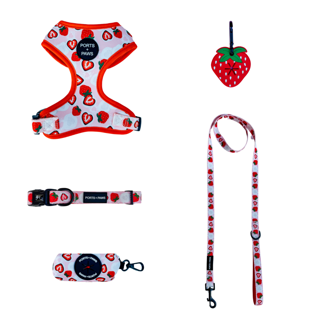 WALKIES BUNDLE - STRAWBERRY MOCHI