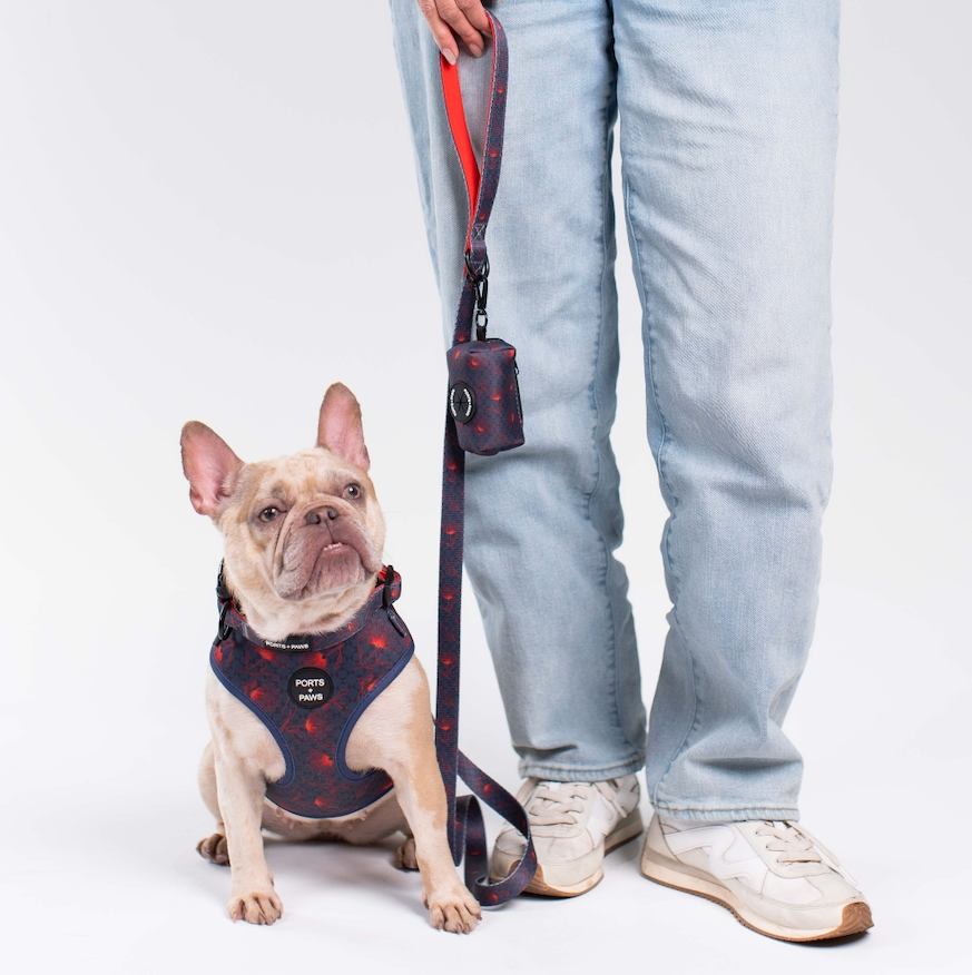 LEASH - HAWAIʻI ISLAND ʻŌHIʻA LEHUA