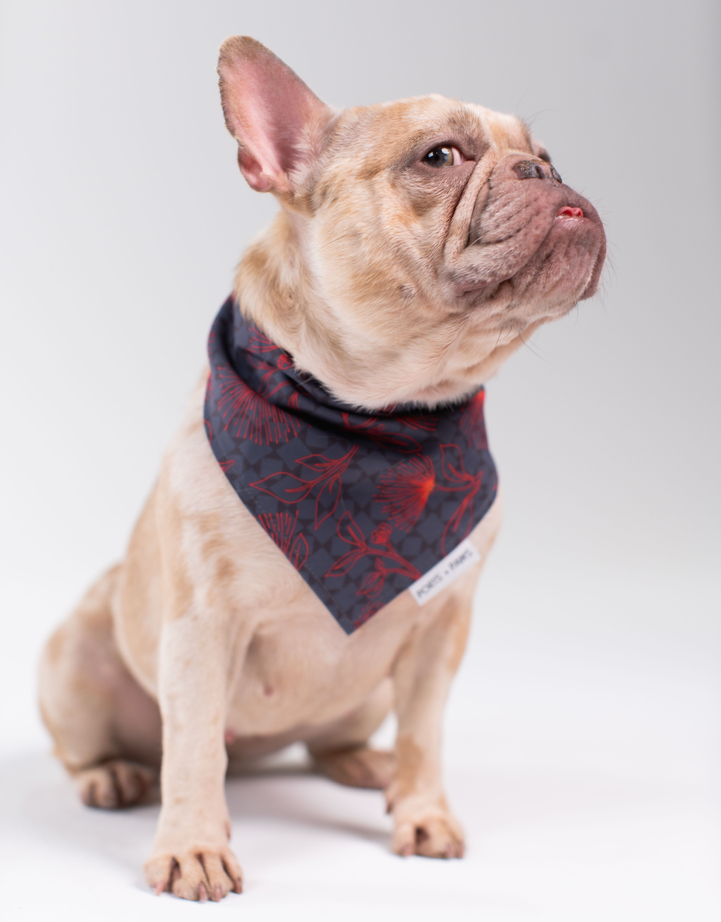 QUICK DRY BANDANA - HAWAIʻI ISLAND ʻŌHIʻA LEHUA