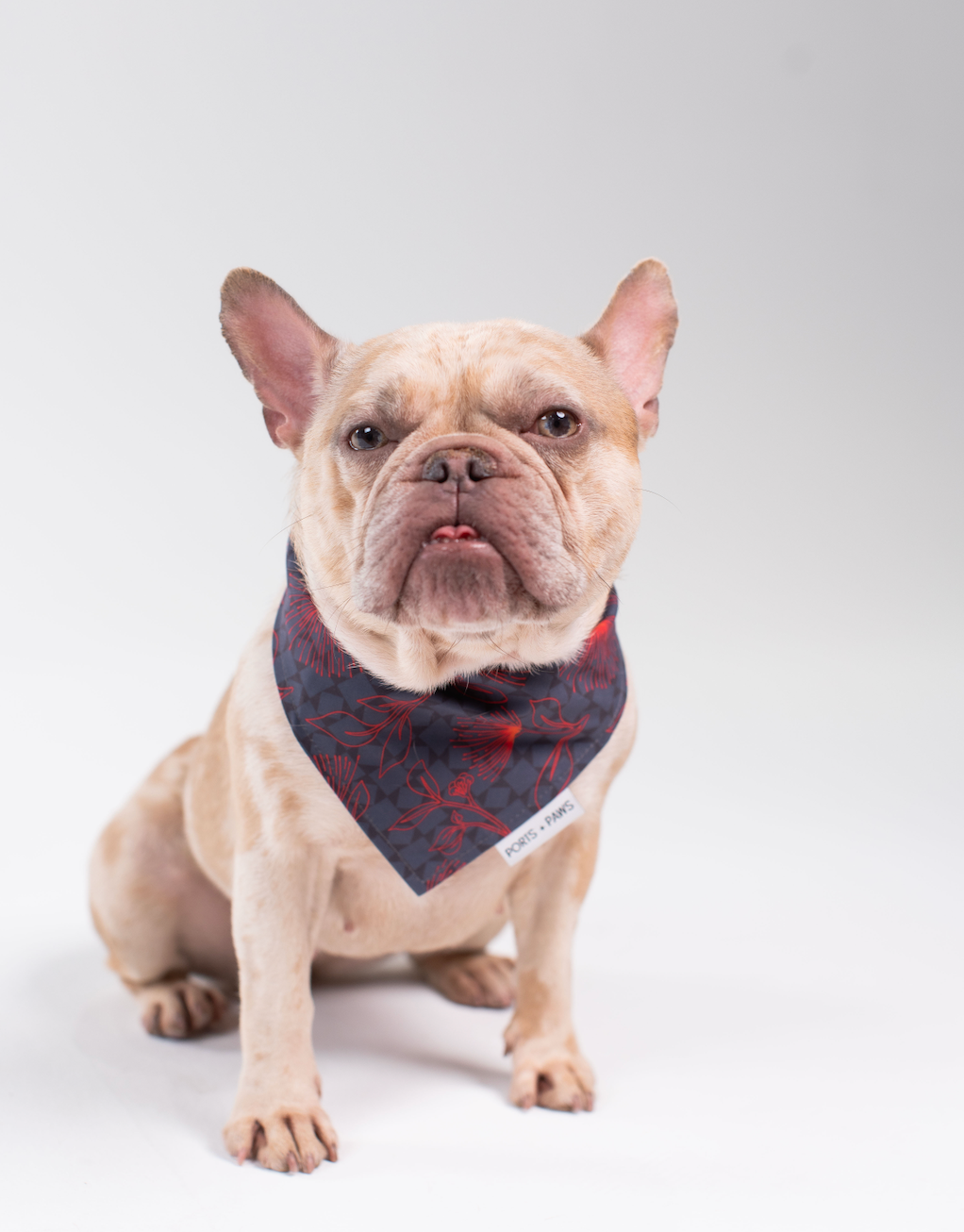 QUICK DRY BANDANA - HAWAIʻI ISLAND ʻŌHIʻA LEHUA