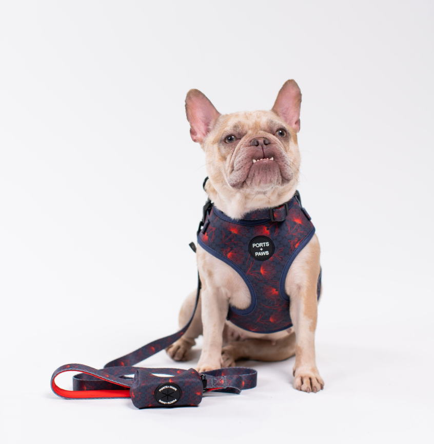WALKIES BUNDLE - HAWAIʻI ISLAND ʻŌHIʻA LEHUA