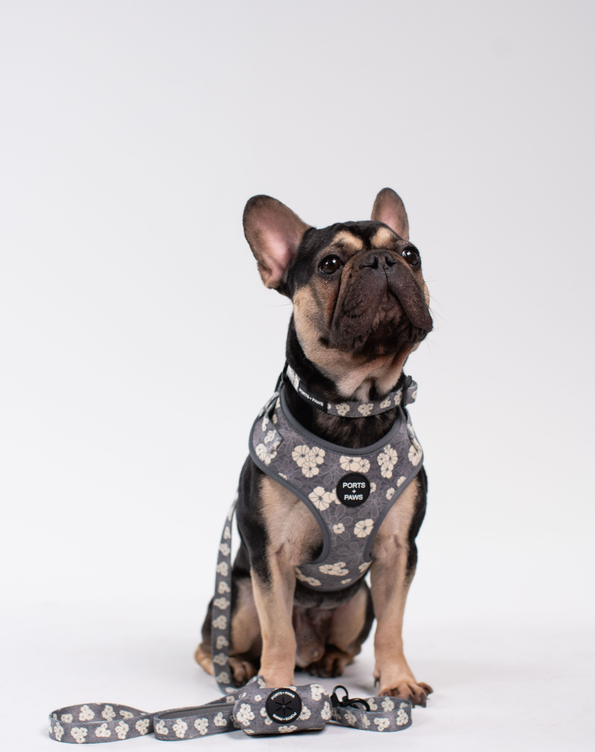 WALKIES BUNDLE - KAHOʻOLAWE HINAHINA