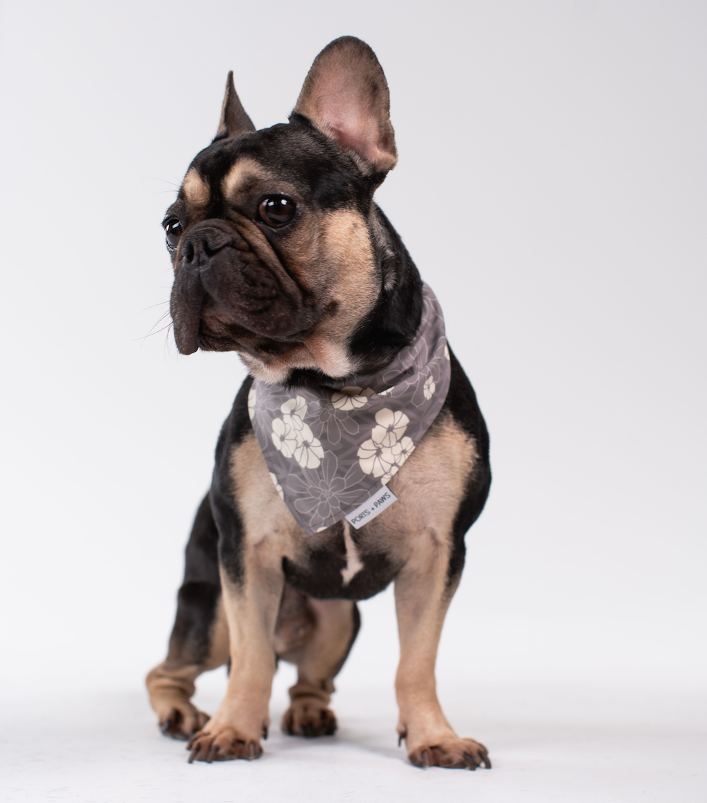 QUICK DRY BANDANA - KAHOʻOLAWE HINAHINA