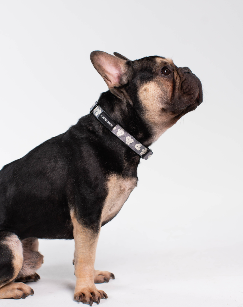 COLLAR - KAHOʻOLAWE HINAHINA