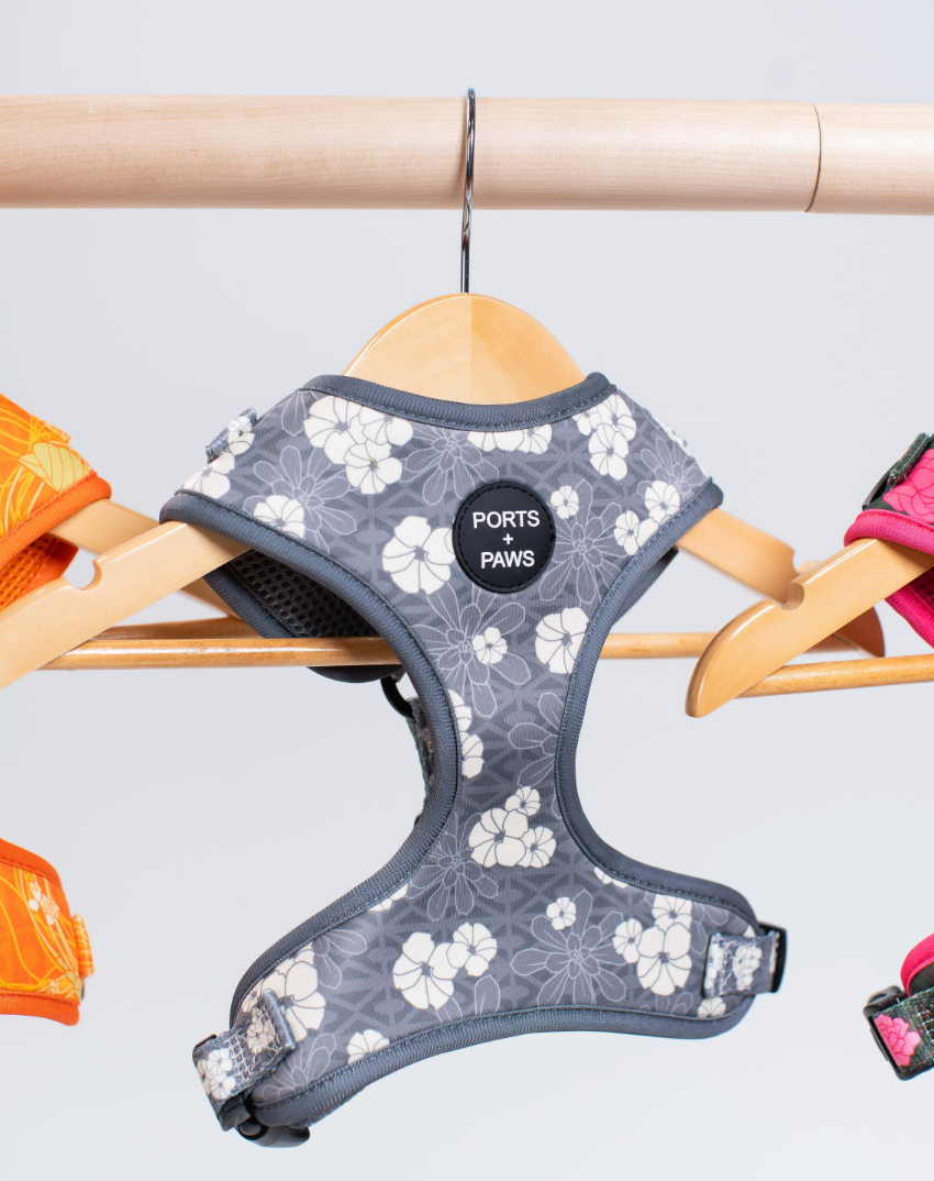 ADJUSTABLE HARNESS - KAHOʻOLAWE HINAHINA