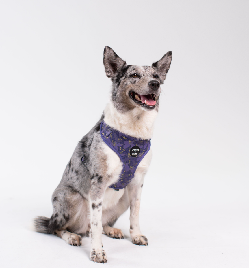 ADJUSTABLE HARNESS - KAUAʻI MOKIHANA BERRY