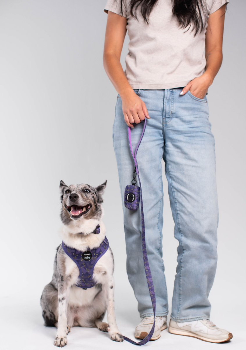 WALKIES BUNDLE - KAUAʻI MOKIHANA BERRY