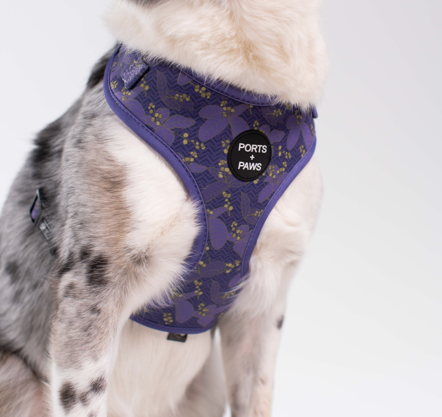 ADJUSTABLE HARNESS - KAUAʻI MOKIHANA BERRY