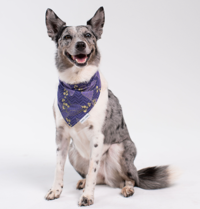 QUICK DRY BANDANA - KAUAʻI MOKIHANA BERRY