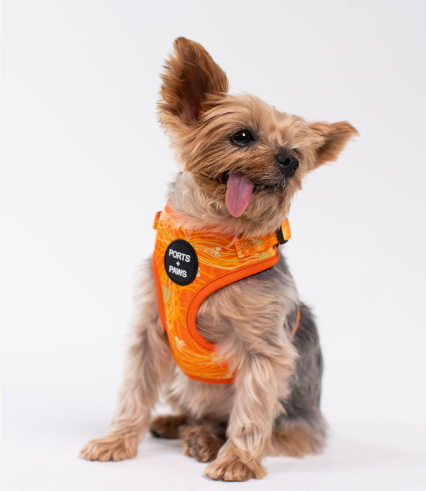 ADJUSTABLE HARNESS - LĀNAʻI KAUNAʻOA