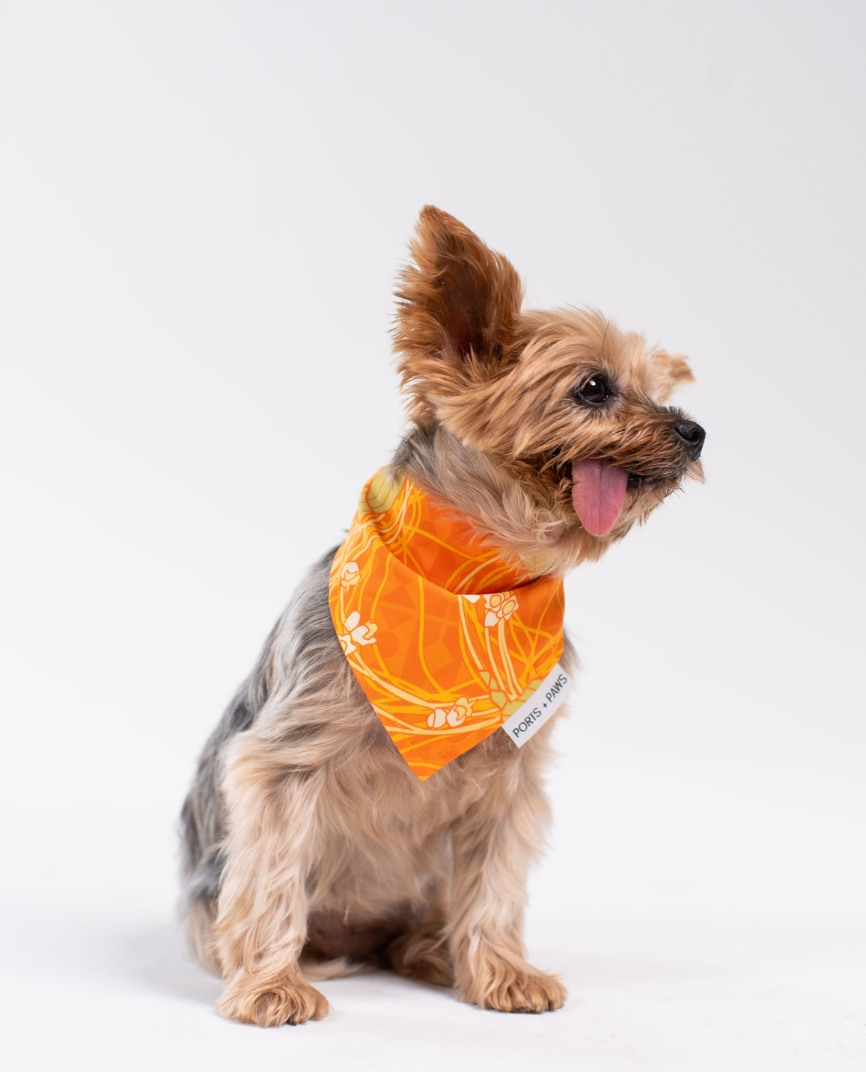 QUICK DRY BANDANA - LĀNAʻI KAUNAʻOA