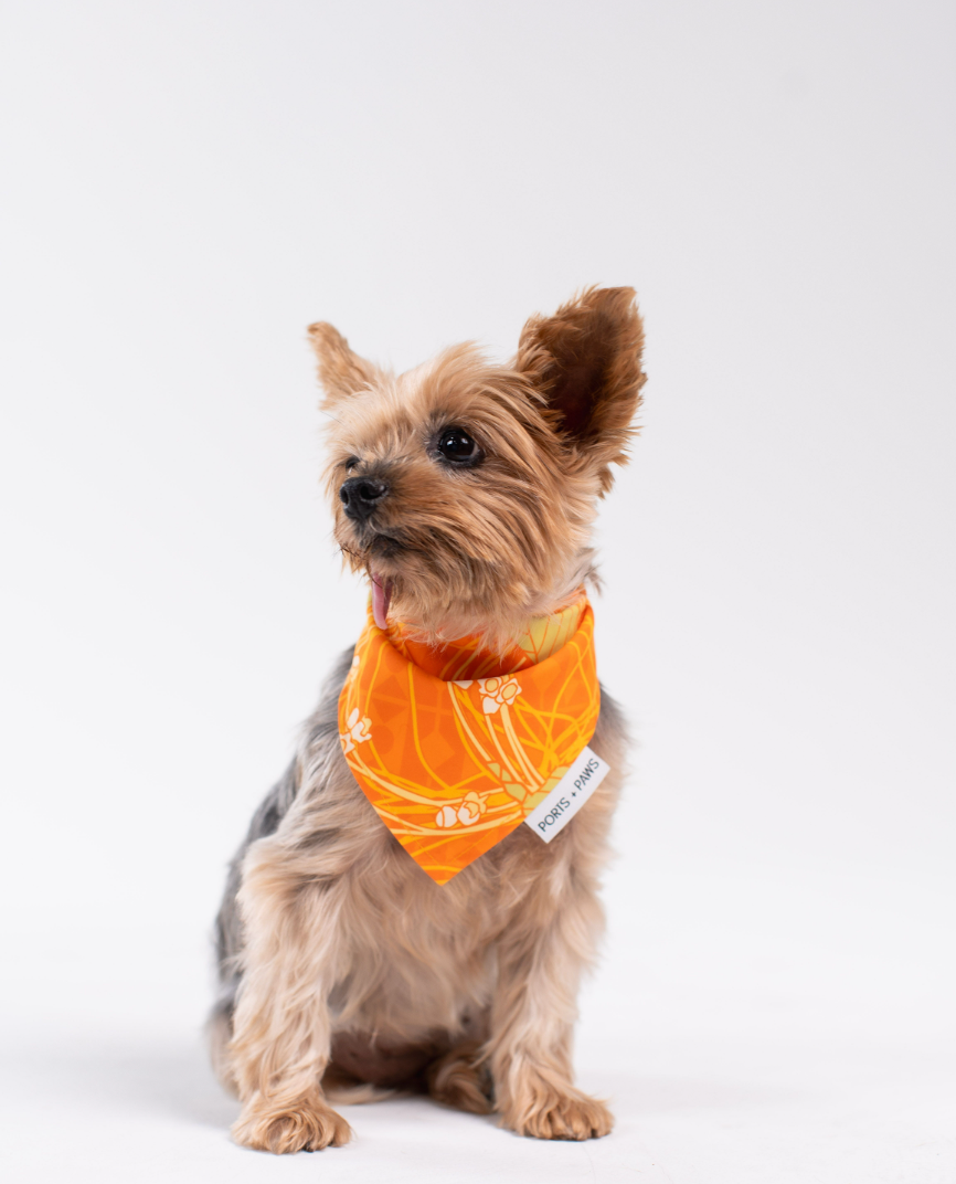 QUICK DRY BANDANA - LĀNAʻI KAUNAʻOA