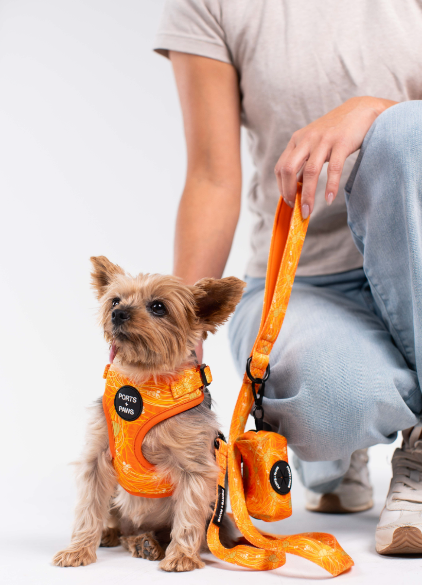 WALKIES BUNDLE - LĀNAʻI KAUNAʻOA