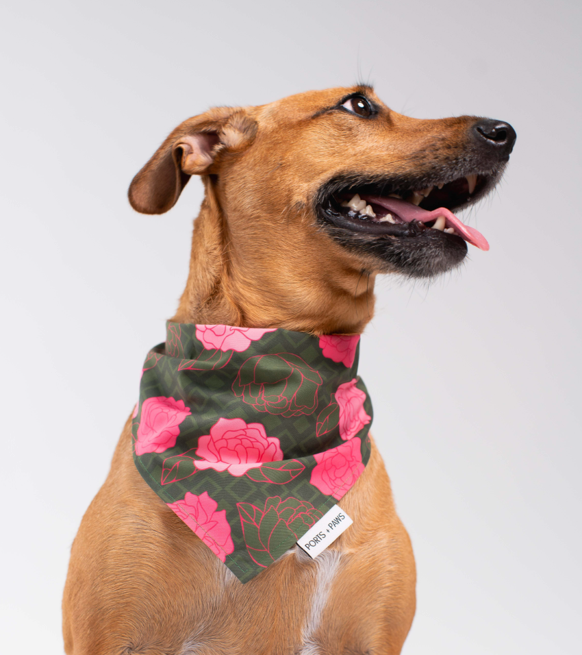 QUICK DRY BANDANA - MAUI LOKELANI ROSE