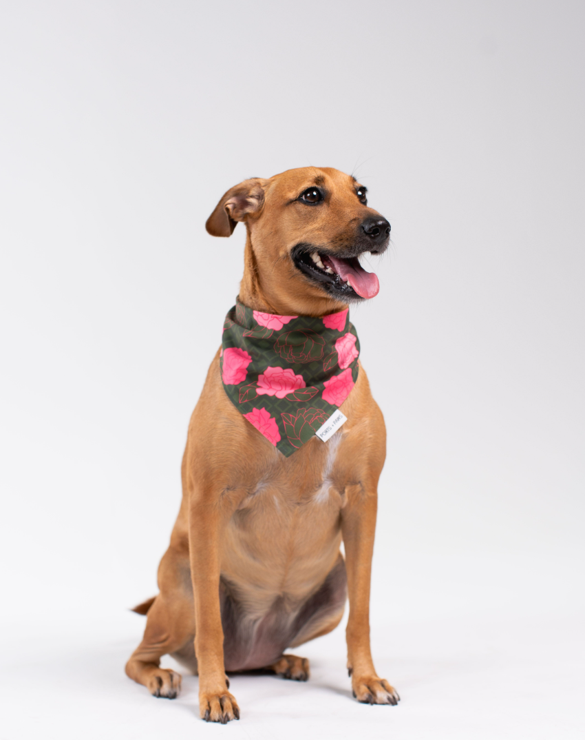 QUICK DRY BANDANA - MAUI LOKELANI ROSE
