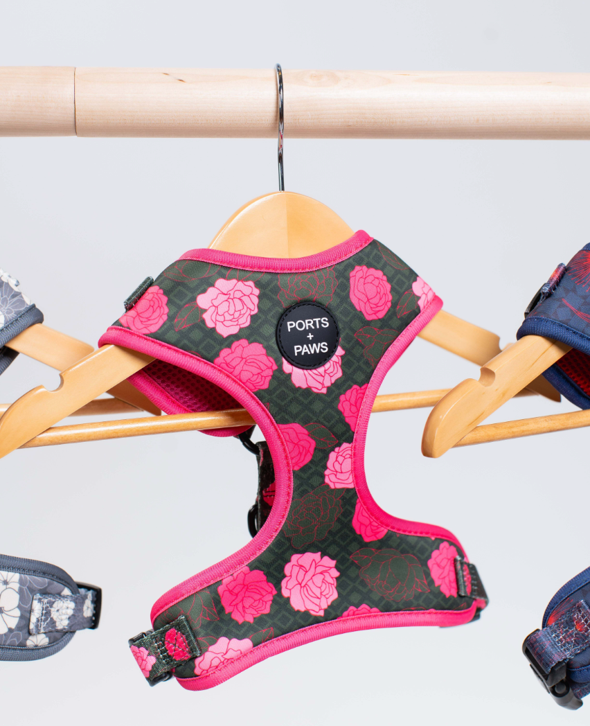 ADJUSTABLE HARNESS - MAUI LOKELANI ROSE