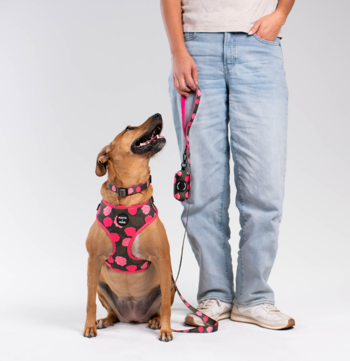 LEASH - MAUI LOKELANI ROSE
