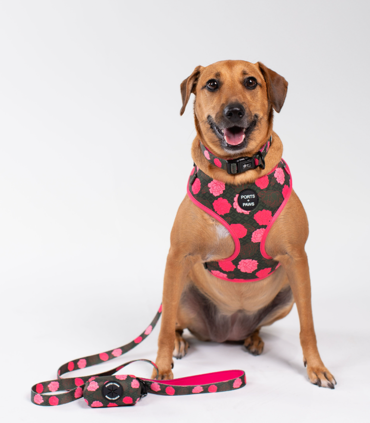 POOP BAG HOLDER - MAUI LOKELANI ROSE