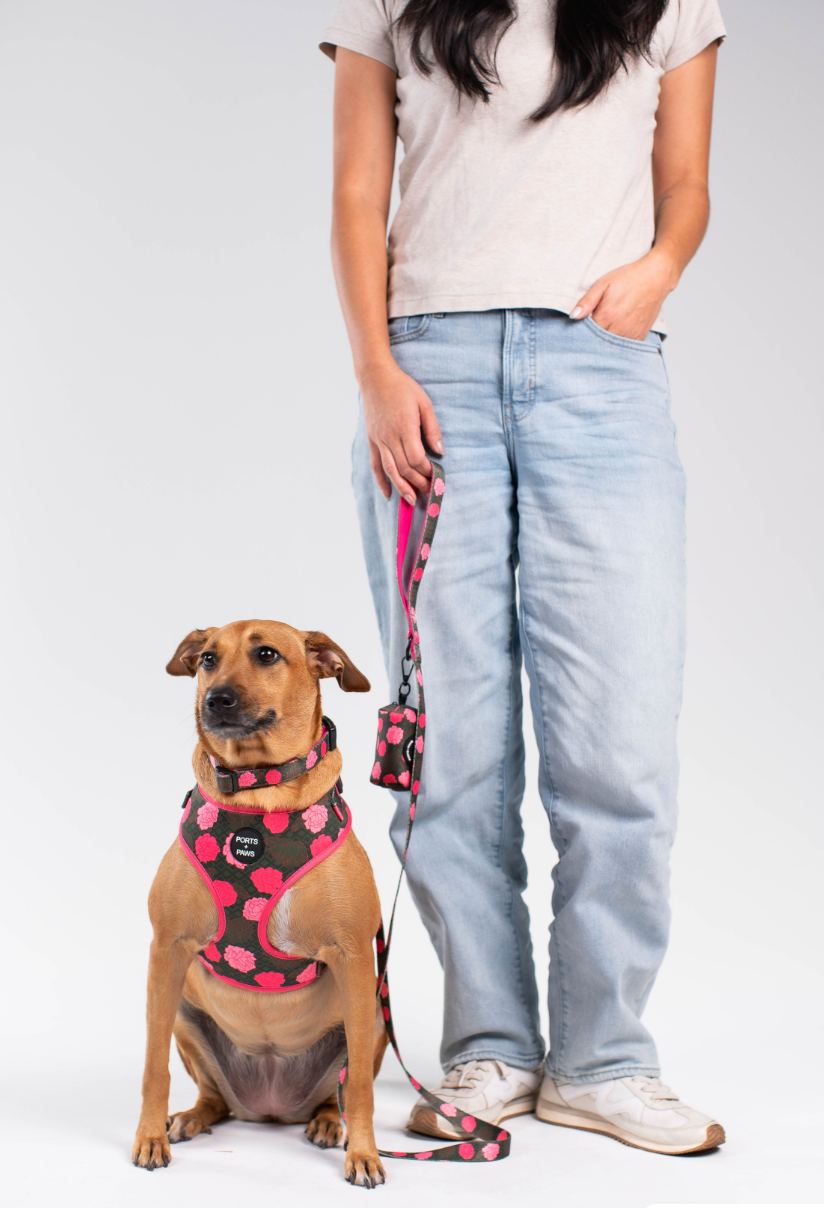 LEASH - MAUI LOKELANI ROSE