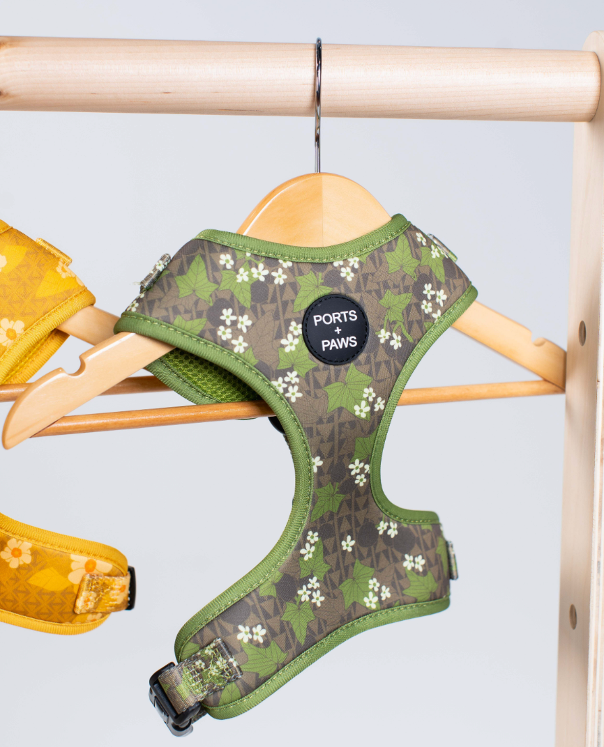 ADJUSTABLE HARNESS - MOLOKAʻI PUA KUKUI NUT