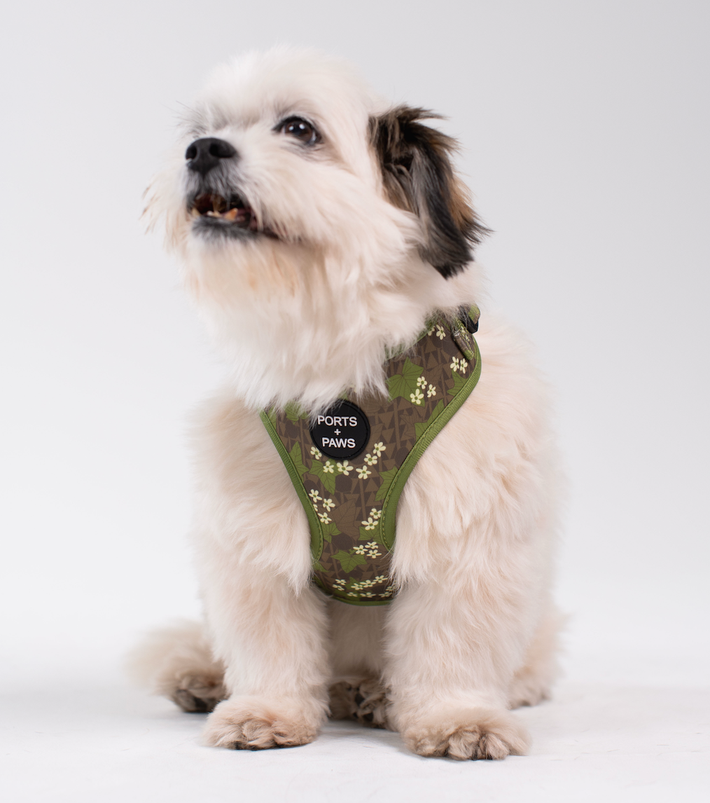 ADJUSTABLE HARNESS - MOLOKAʻI PUA KUKUI NUT