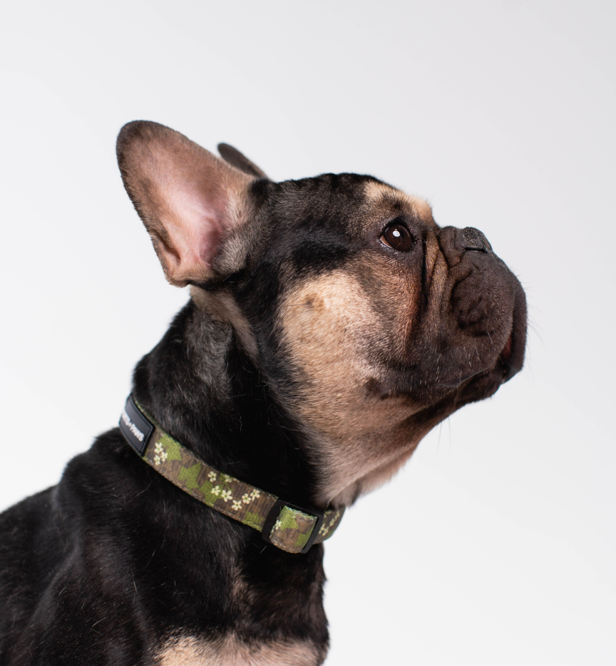 COLLAR - MOLOKAʻI PUA KUKUI NUT