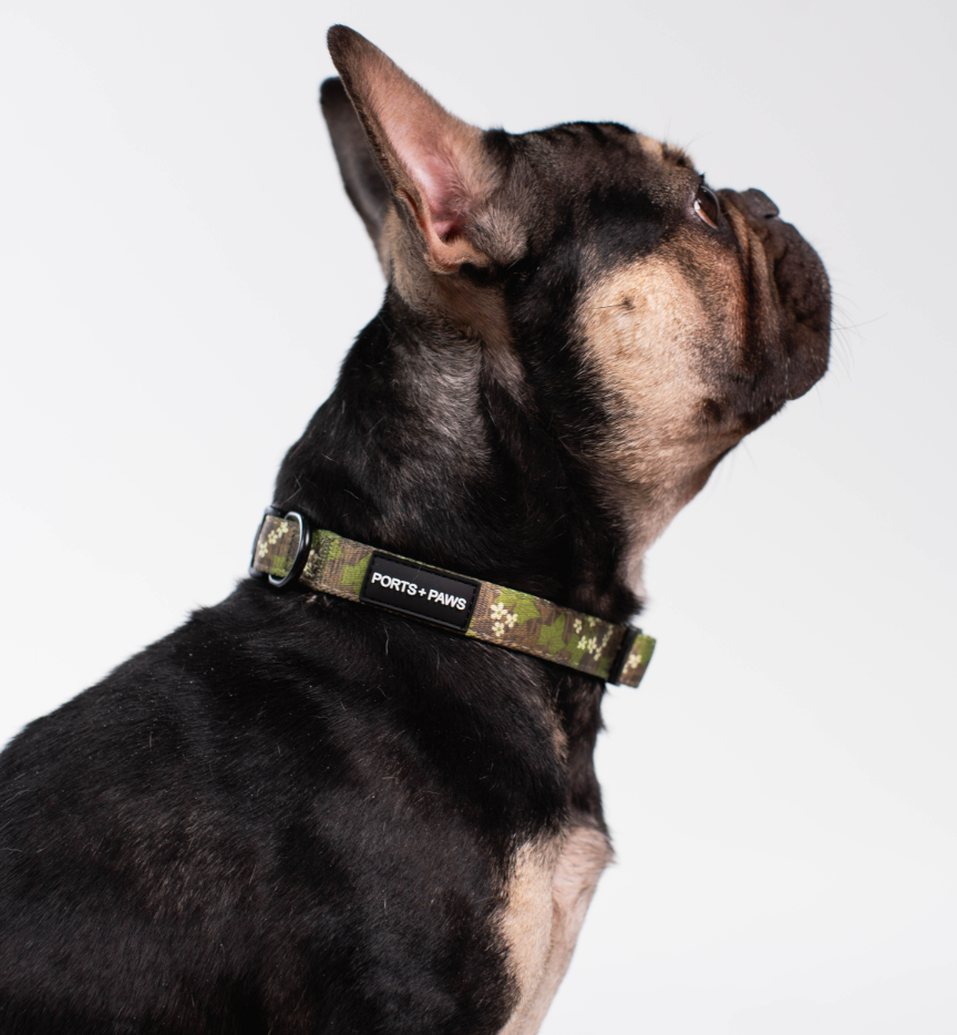 COLLAR - MOLOKAʻI PUA KUKUI NUT