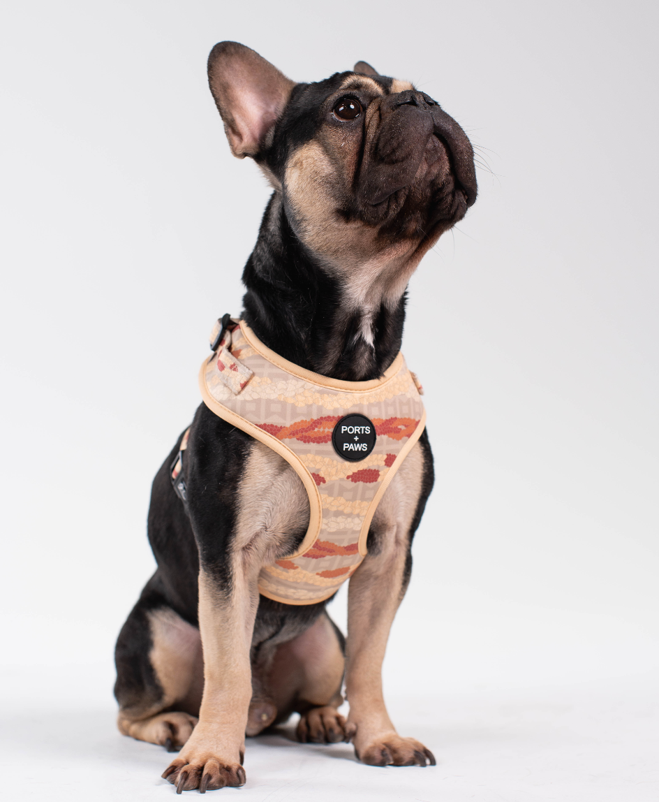 ADJUSTABLE HARNESS - NIʻIHAU PŪPŪ SHELL