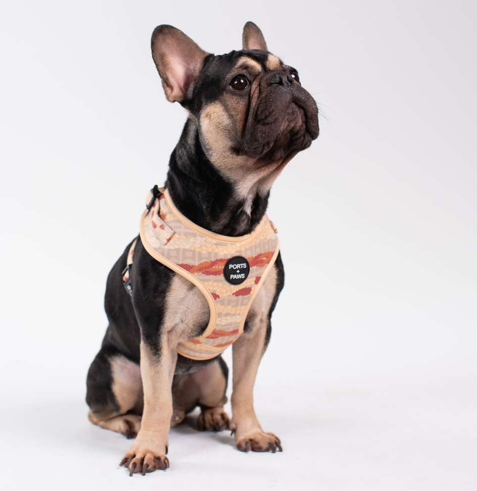 ADJUSTABLE HARNESS - NIʻIHAU PŪPŪ SHELL