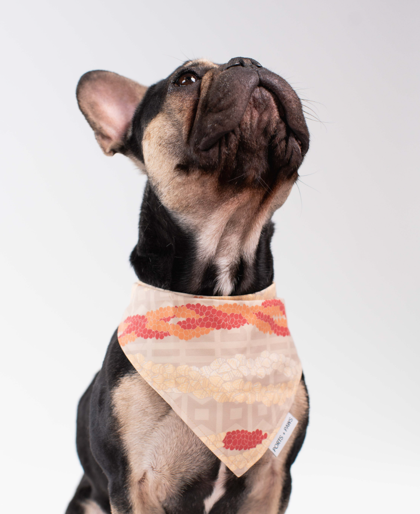 QUICK DRY BANDANA - NIʻIHAU PŪPŪ SHELL