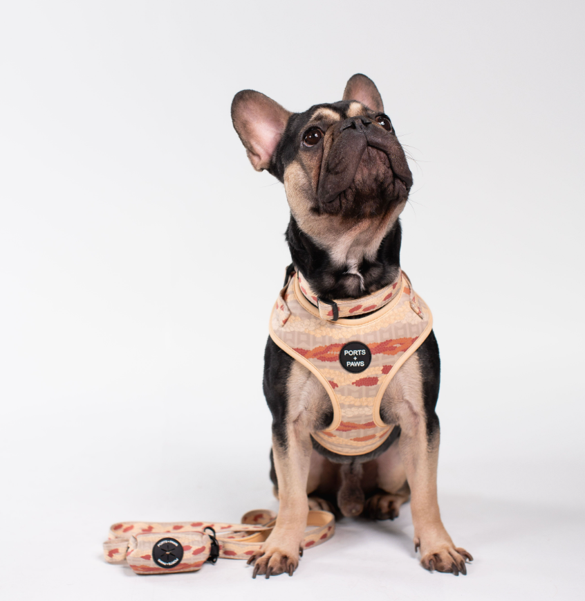 WALKIES BUNDLE - NIʻIHAU PŪPŪ SHELL