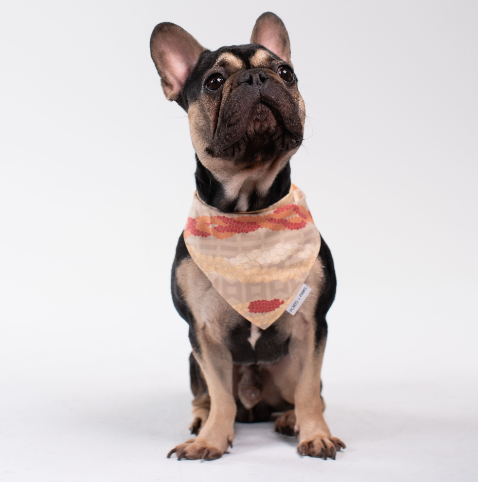 QUICK DRY BANDANA - NIʻIHAU PŪPŪ SHELL