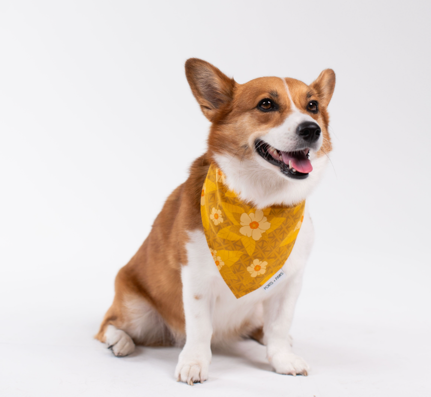 QUICK DRY BANDANA - OʻAHU ʻILIMA