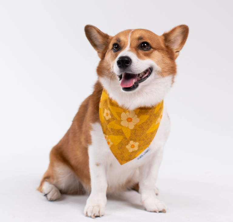 QUICK DRY BANDANA - OʻAHU ʻILIMA