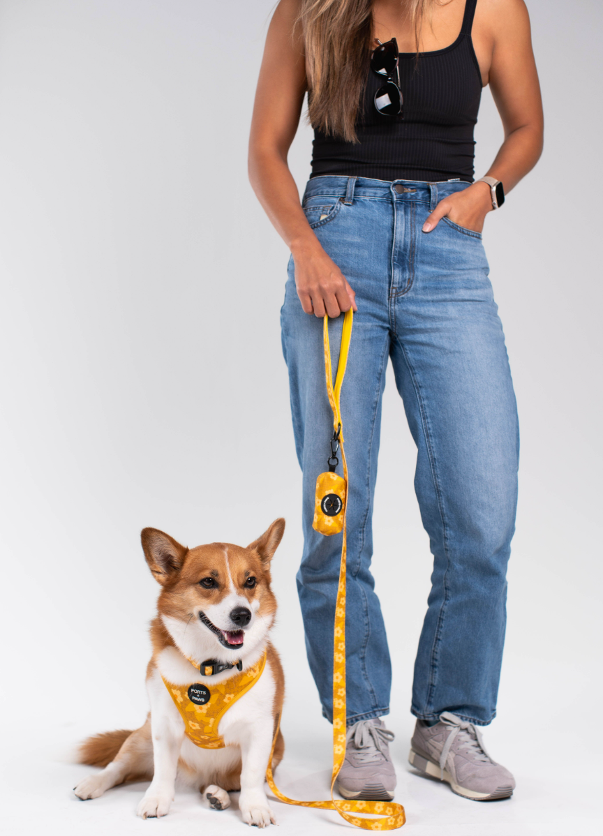 WALKIES BUNDLE - OʻAHU ʻILIMA